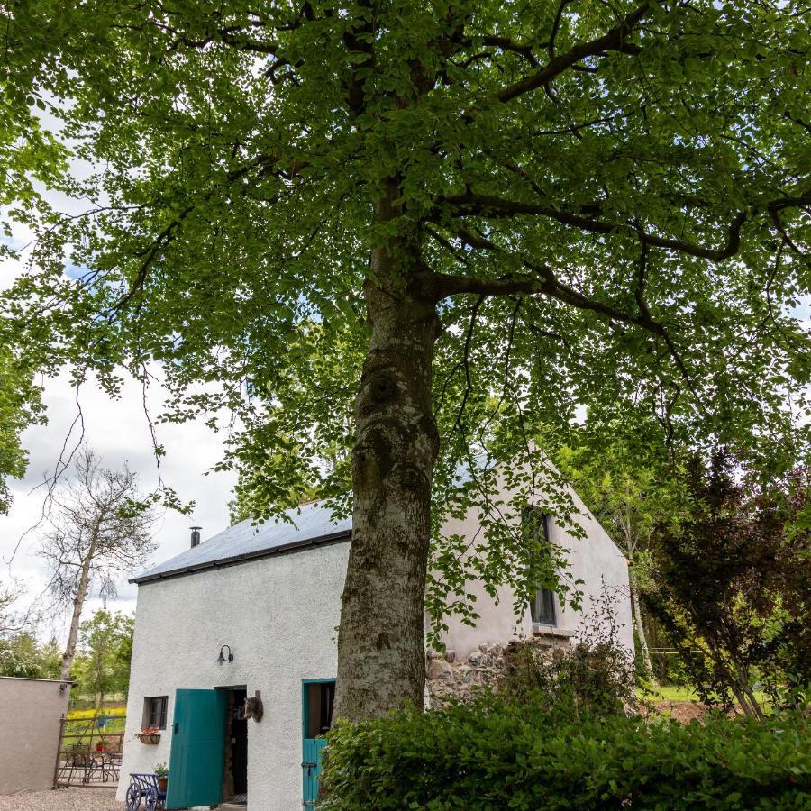 Blackshaw's Villa Scolboa